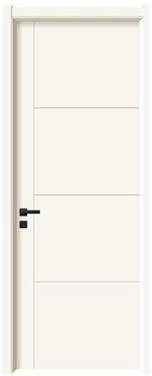 Door skin