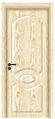 Door skin